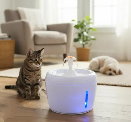⭐Bebedero de Agua Eléctrica para Mascotas con luz led– Más Hidratación, Menos Problemas Urinarios